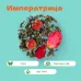 Чай улун Императрица