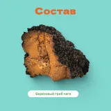 Чагочай Антиоксидантный порционный 2г в саше