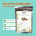 Цветы ромашки в пирамидках