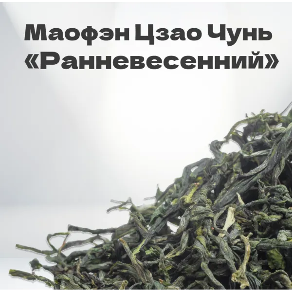 Чай зеленый Маофэн Цзао Чунь 