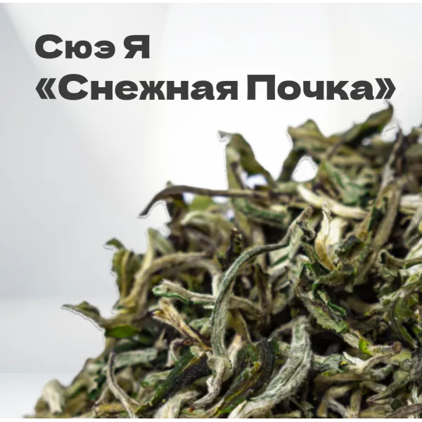 Чай зеленый Сюэ Я 