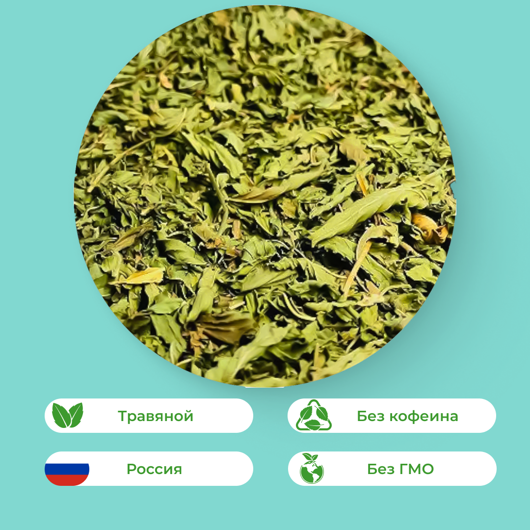 Мята