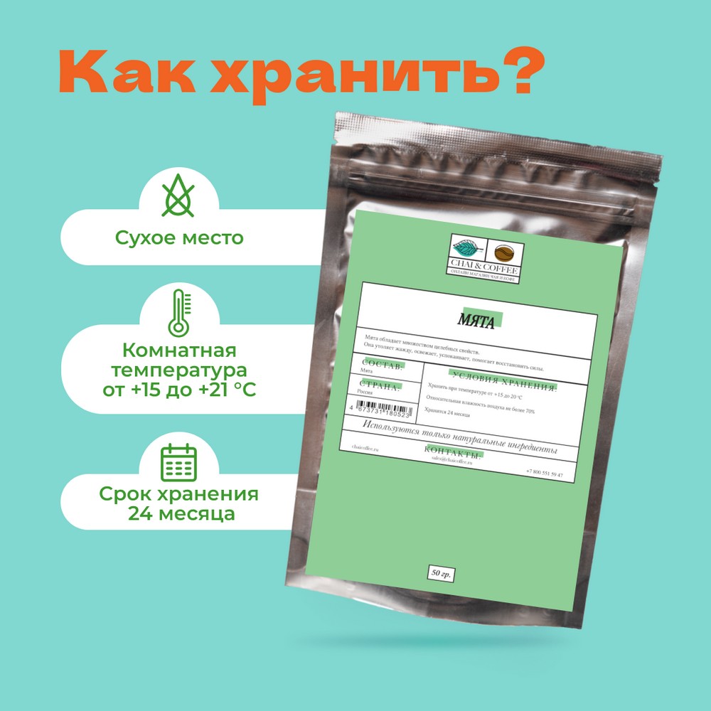 Мята