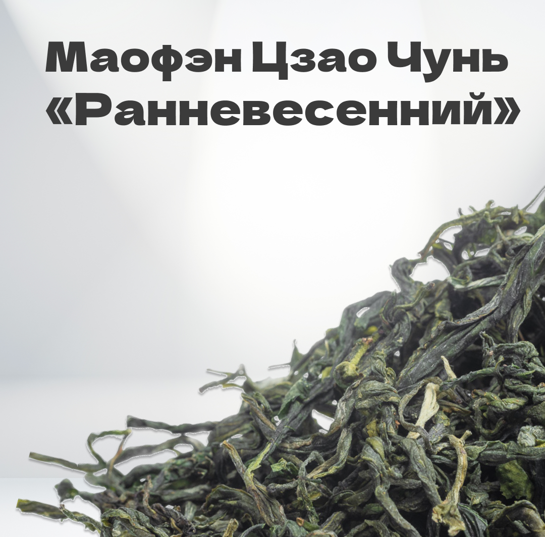 Чай зеленый Маофэн Цзао Чунь 
