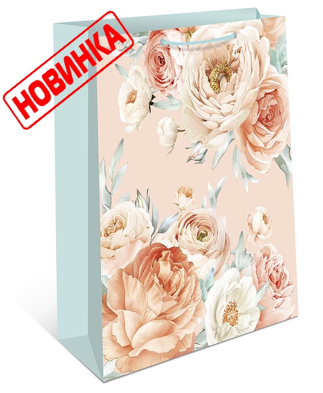 Пакет подарочный 18*23*10