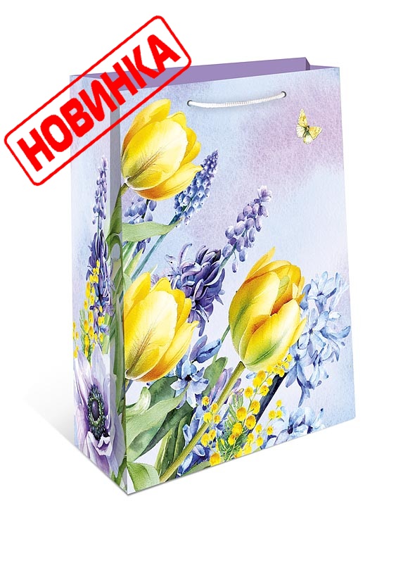 Пакет подарочный 18*23*10