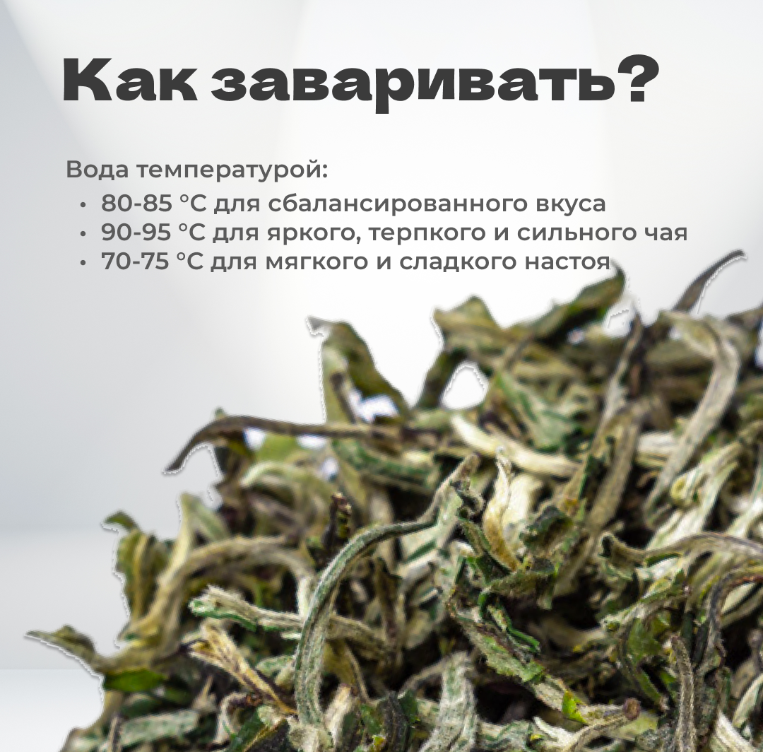 Чай зеленый Сюэ Я 